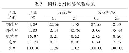 銅鋅閉路實驗結(jié)果